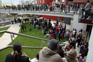 Demostració de vol d'aus rapinyaires