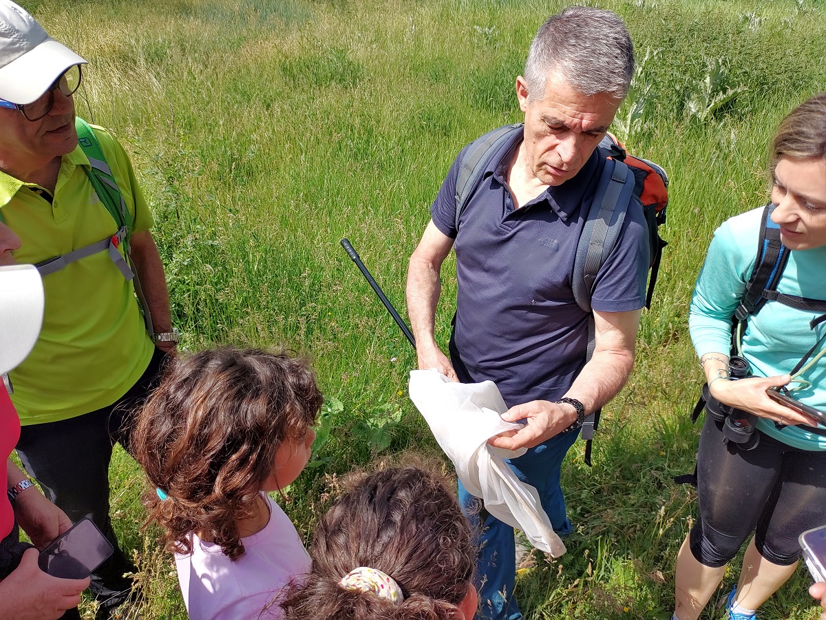 Jordi Dantart identificant papallones