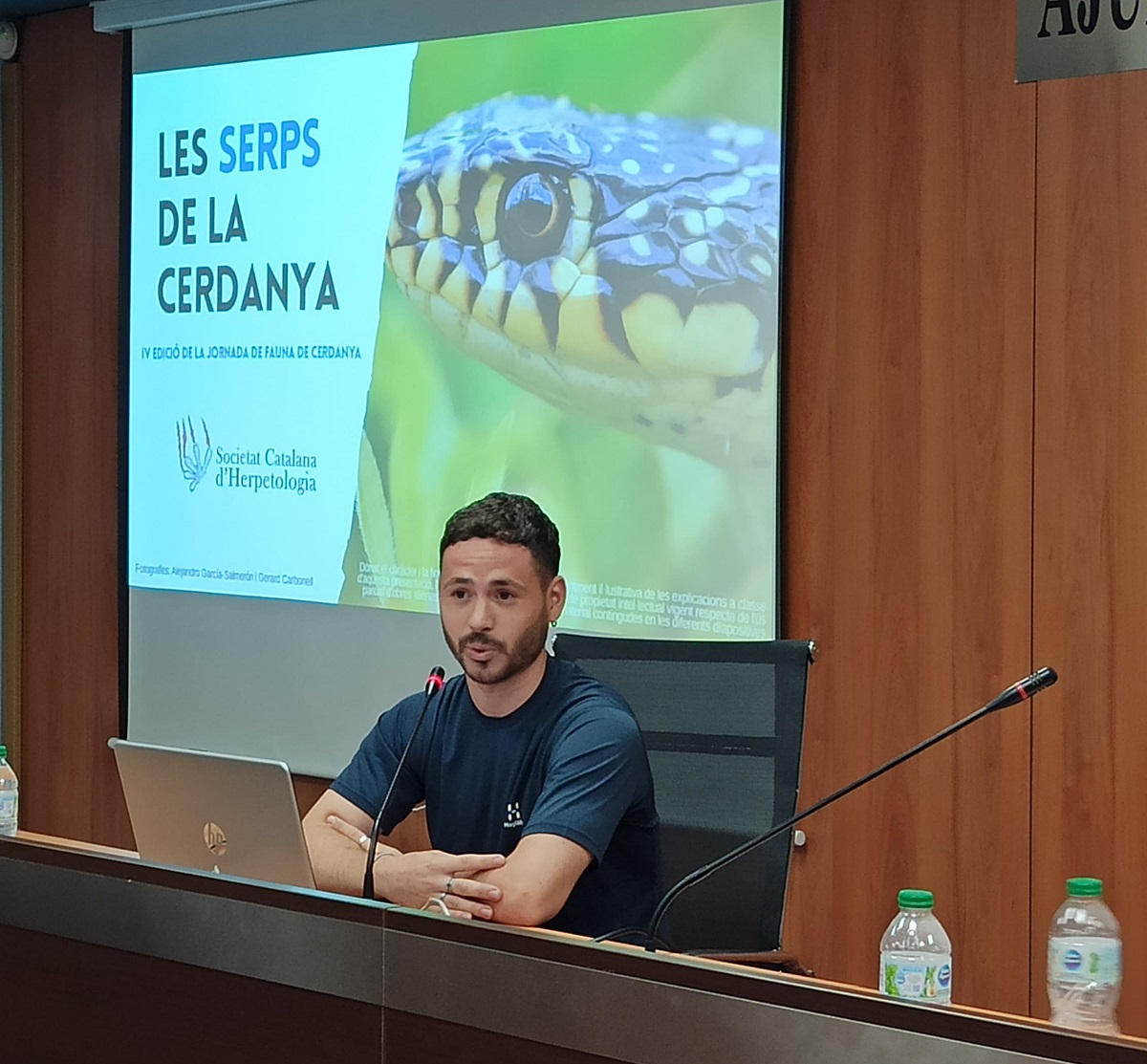 Alejandro García-Salmerón