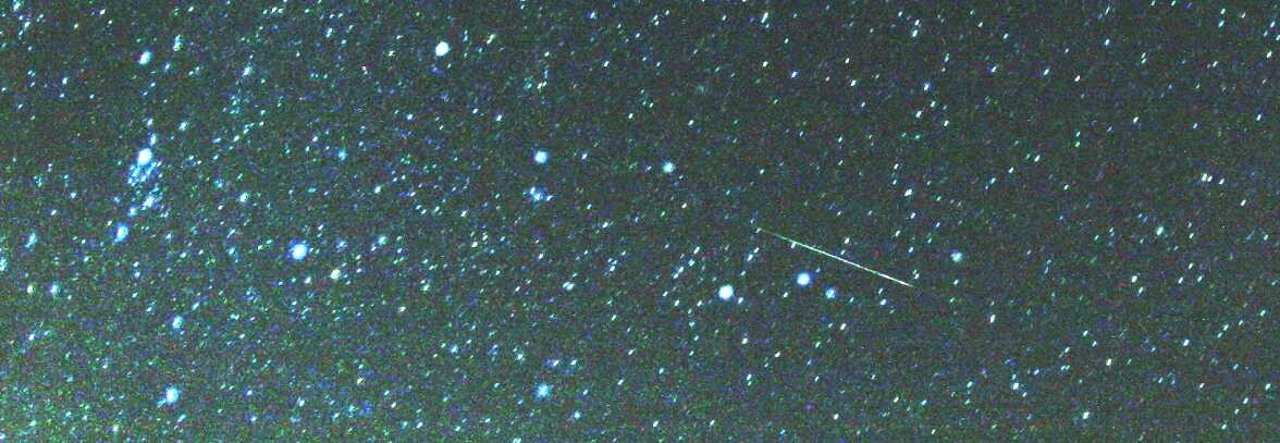 Perseids