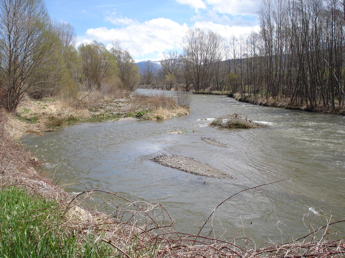 Riu Segre